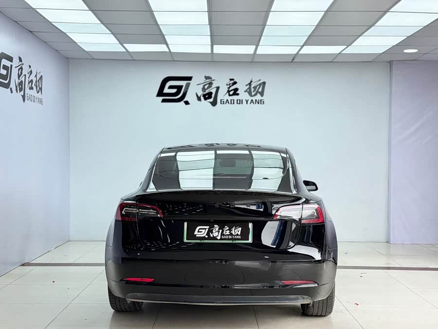 Tesla Model 3 2021 #26 Tesla Model 3 2021 car image #26