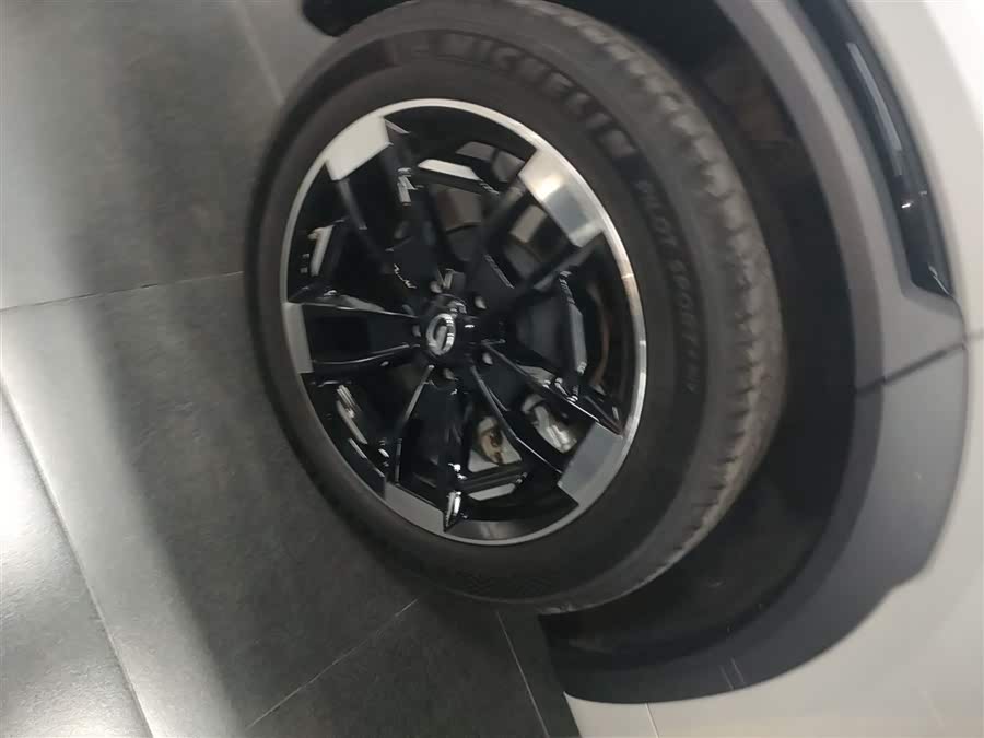 GAC Trumpchi ES9 2024 car image #26