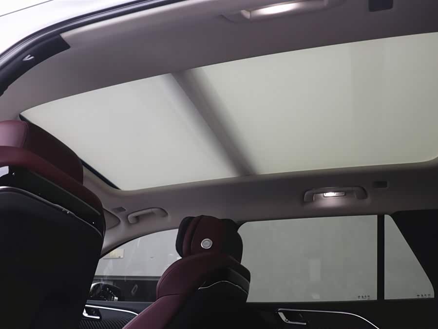 HongQi E-HS9 2023 изображение автомобиля #26