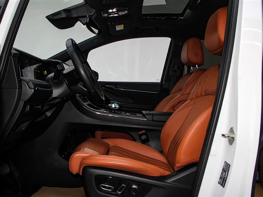 GAC Trumpchi E9 2024 car image #26