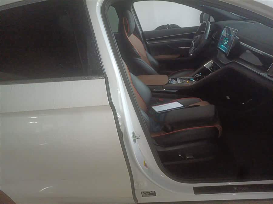 BYD Song Plus 2021 #26 BYD Song Plus 2021 immagine di auto #26