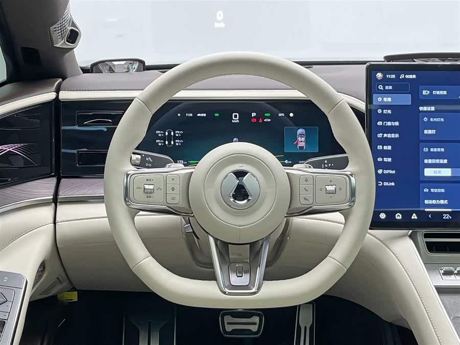 Denza Z9 2024 car image #26