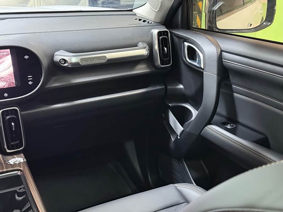 Haval X Dog / Dargo 2024 immagine di auto #26