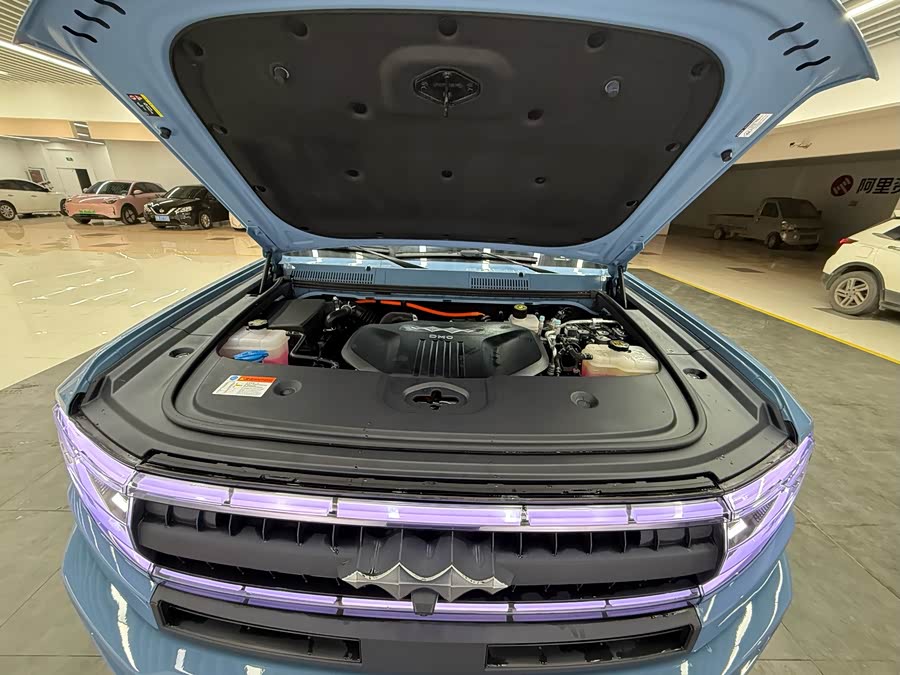 FangChengBao Leopard 5 2025 car image #26