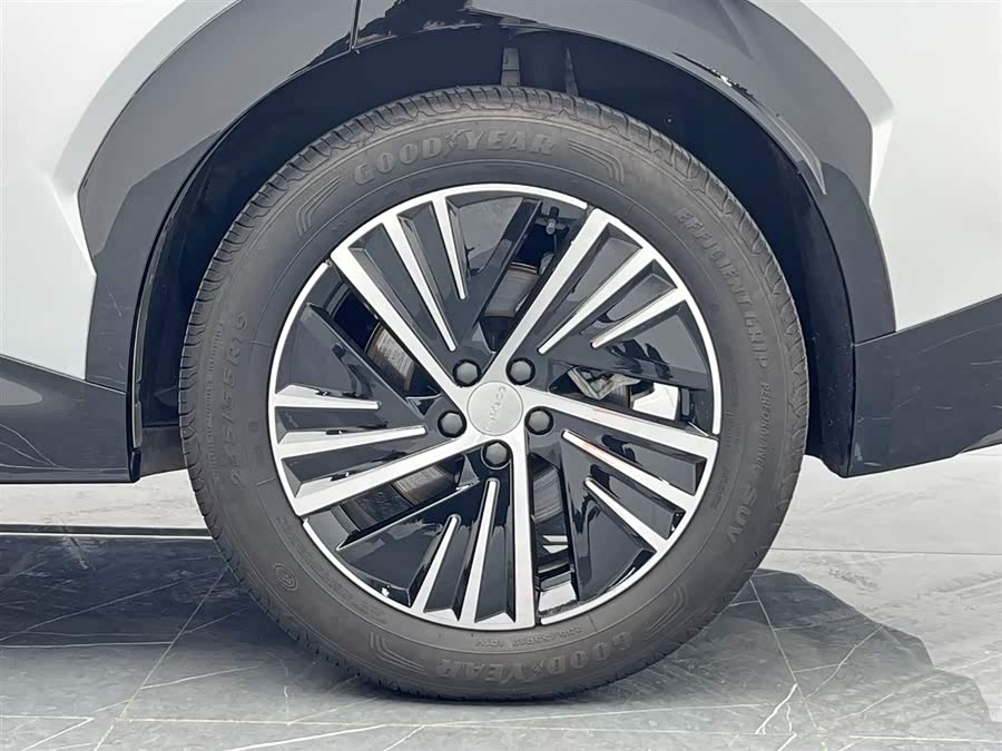 Lynk & Co 08 EM-P 2024 car image #26