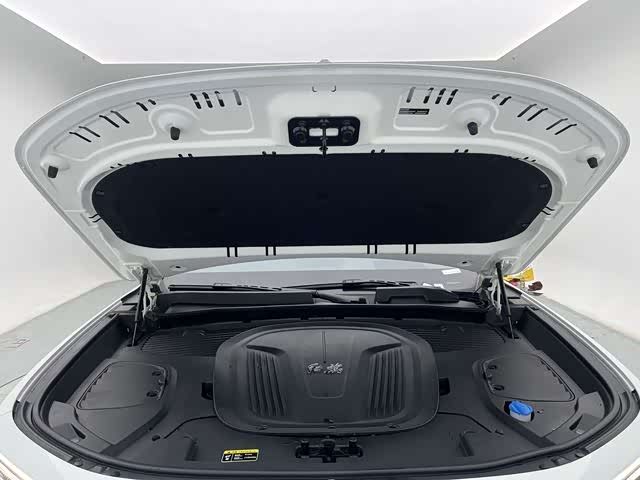 HongQi E-HS9 2023 car image #26