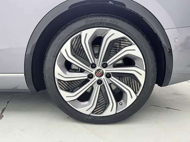 HongQi E-HS9 2023 image de voiture #26