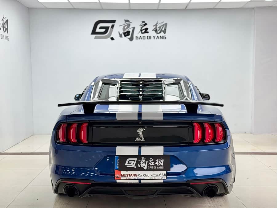 Ford Mustang 2019 car image #26