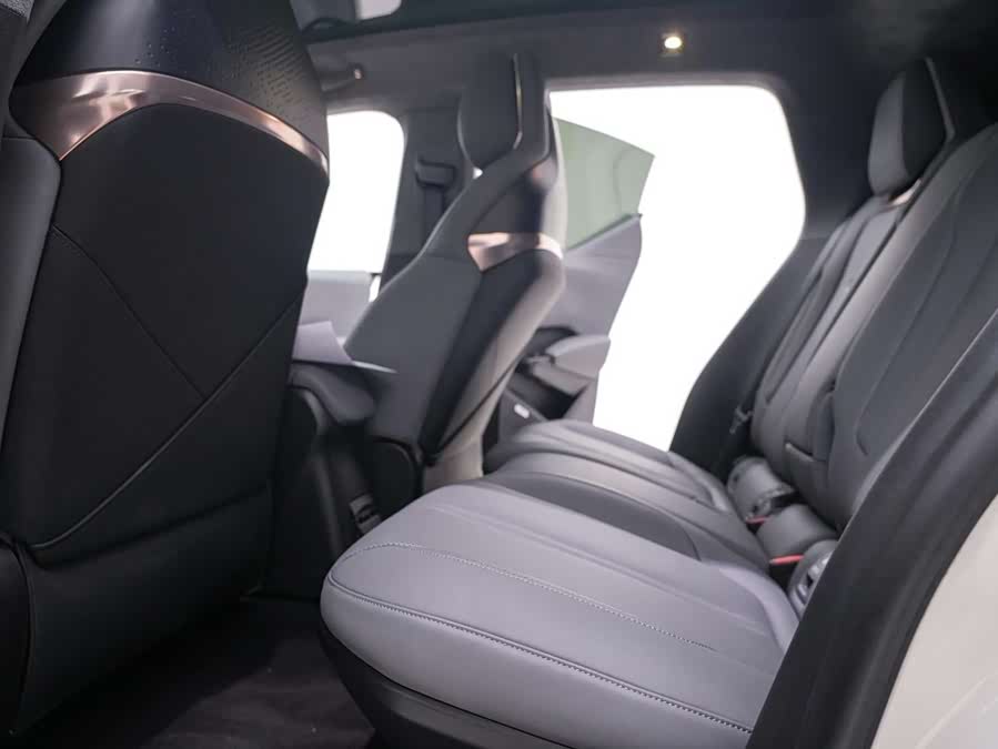 Zeekr X 2024 immagine di auto #26