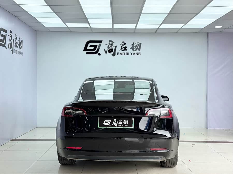 Tesla Model 3 2022 immagine di auto #26