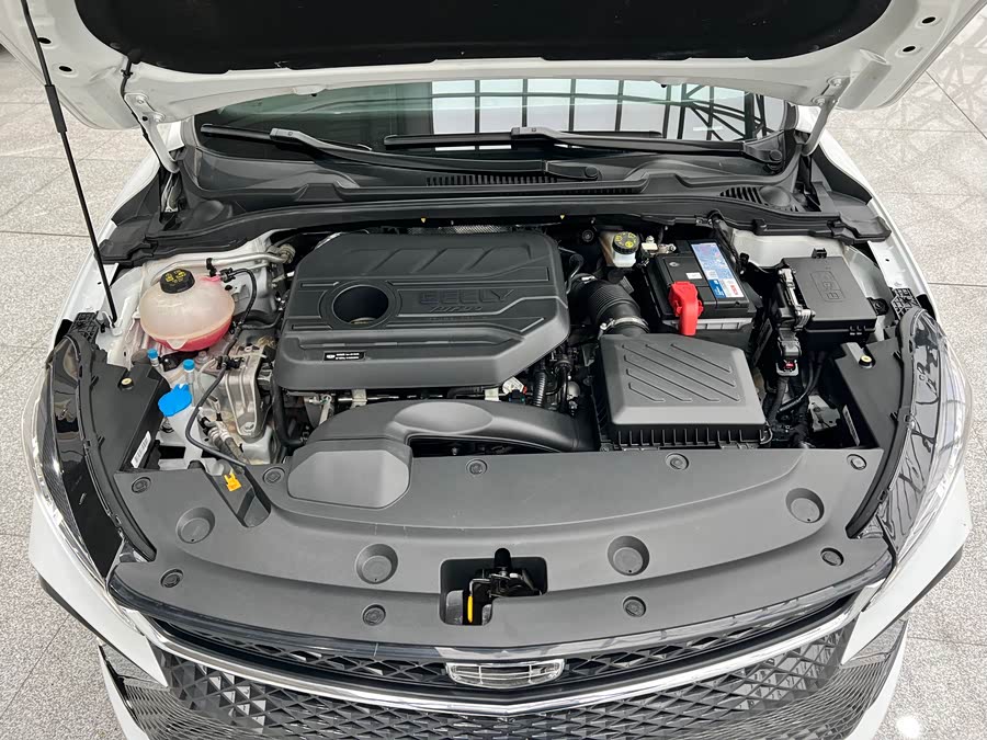 GEELY Emgrand L 2022 imagem de carro #26