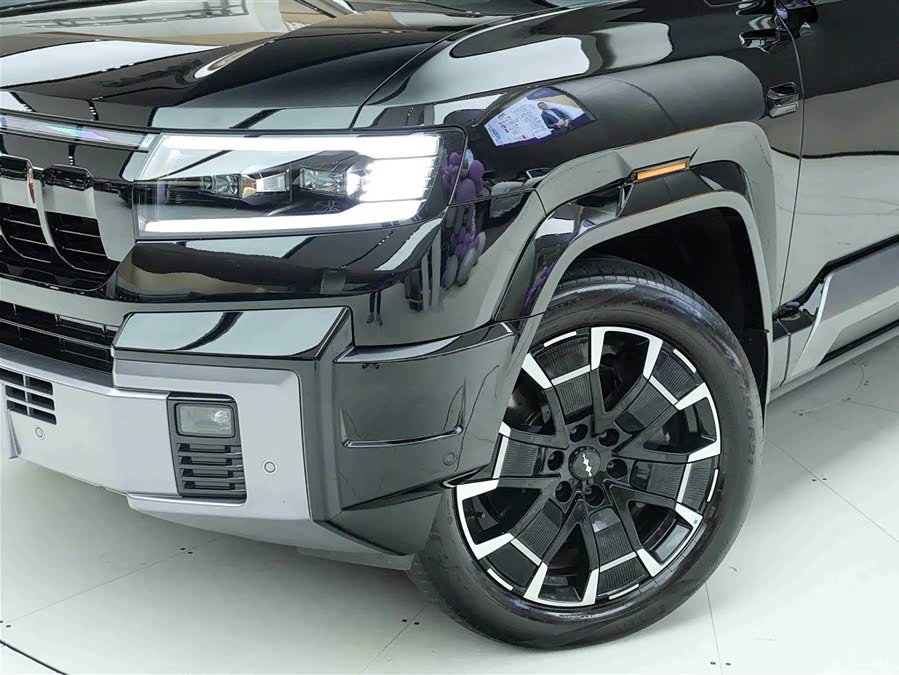 FangChengBao Leopard 8 2024 immagine di auto #26