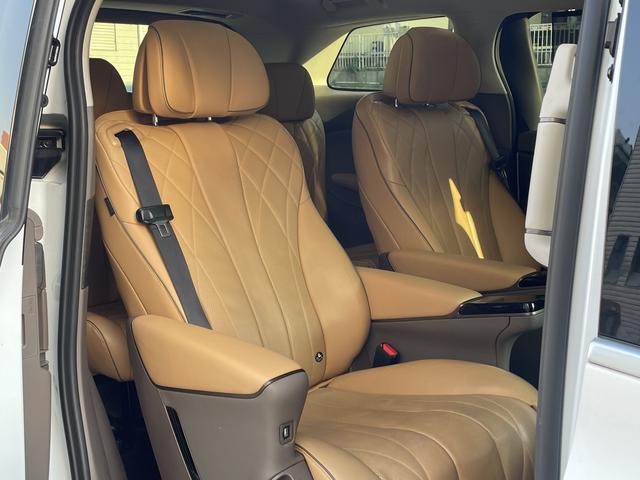 Denza X 2022 изображение автомобиля #26