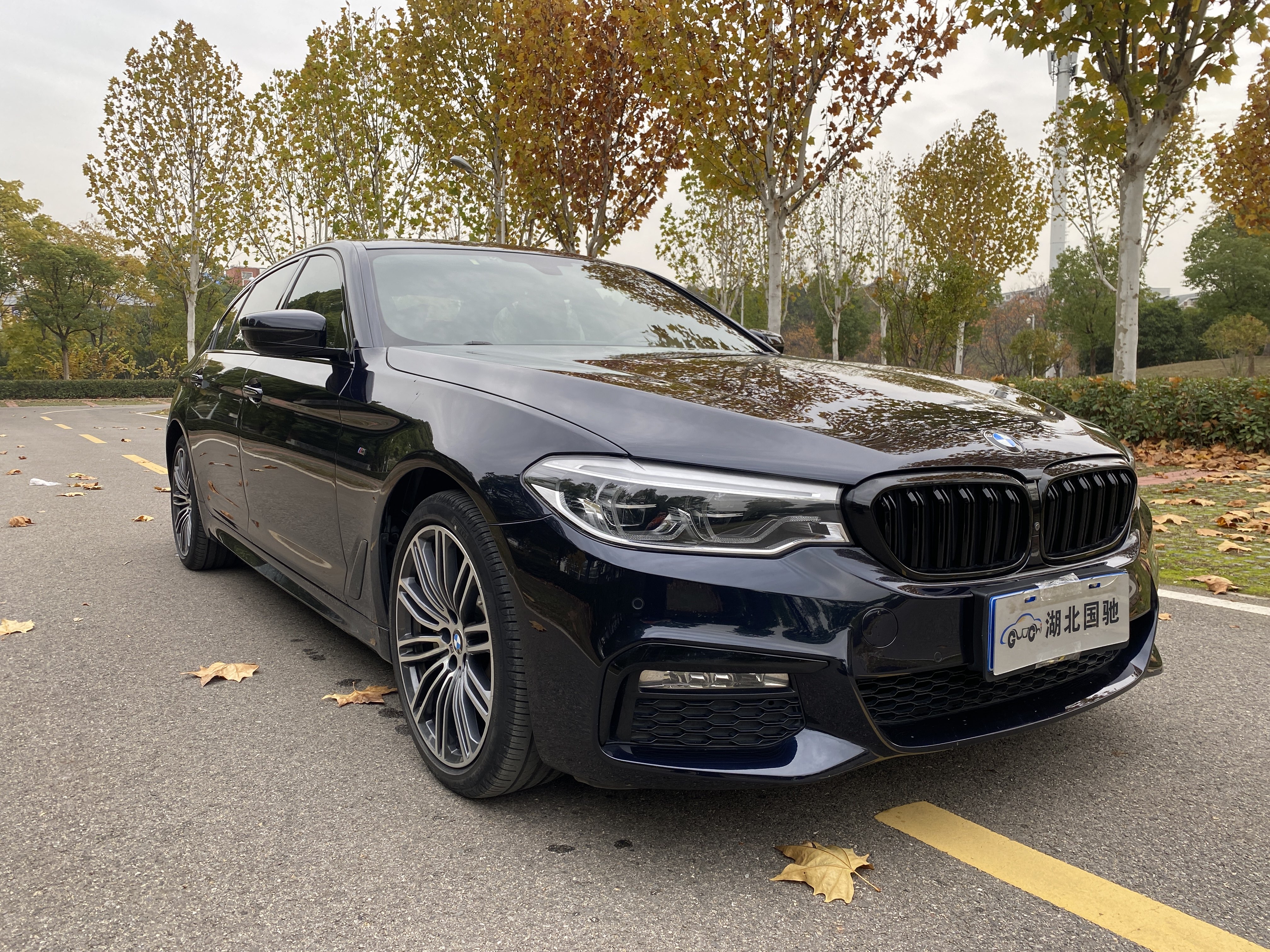 BMW 5 Series 2018 #26 BMW 5 Series 2018 car image #26