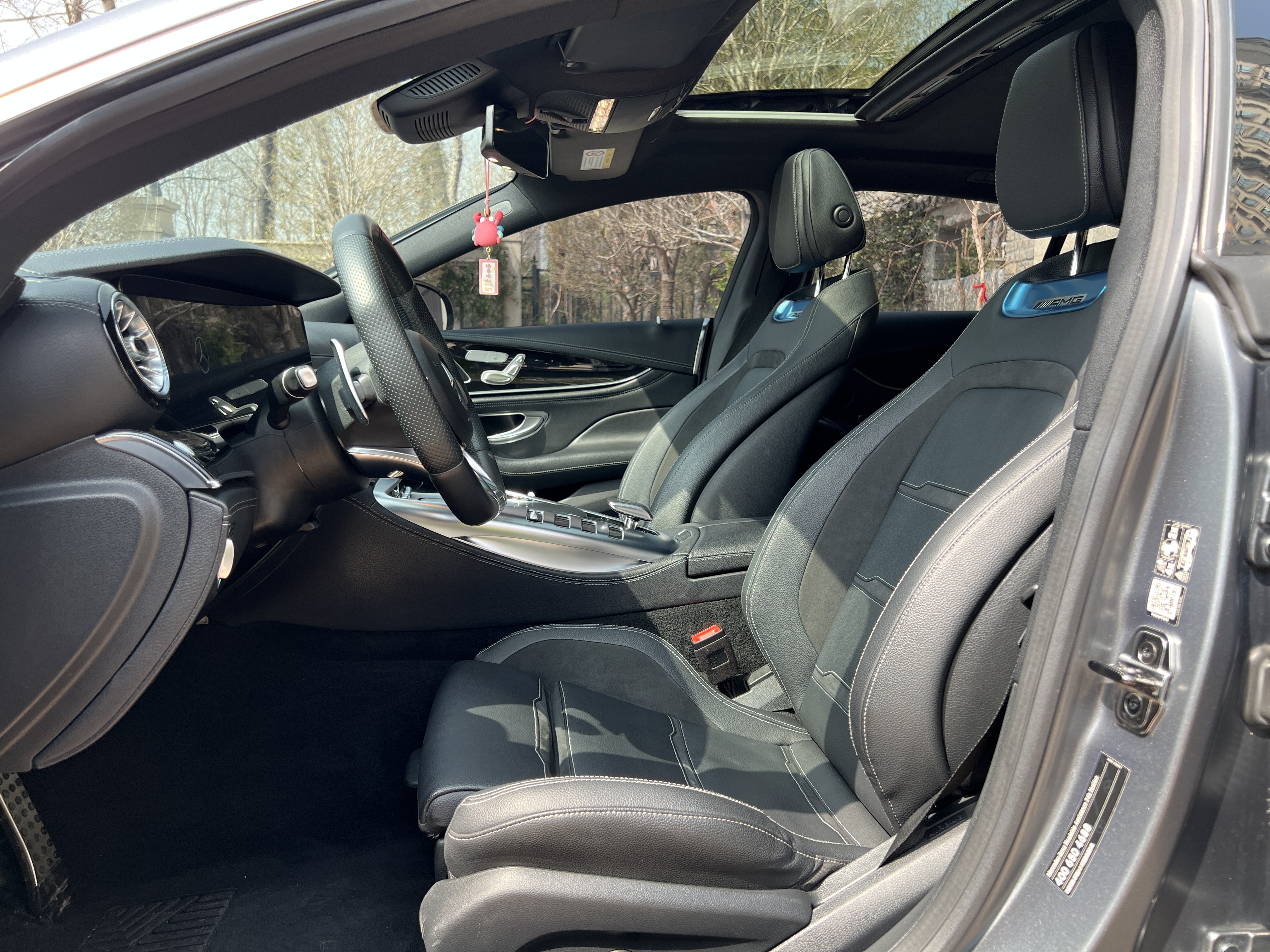 Mercedes-Benz AMG GT 2019 imagen de coche #26