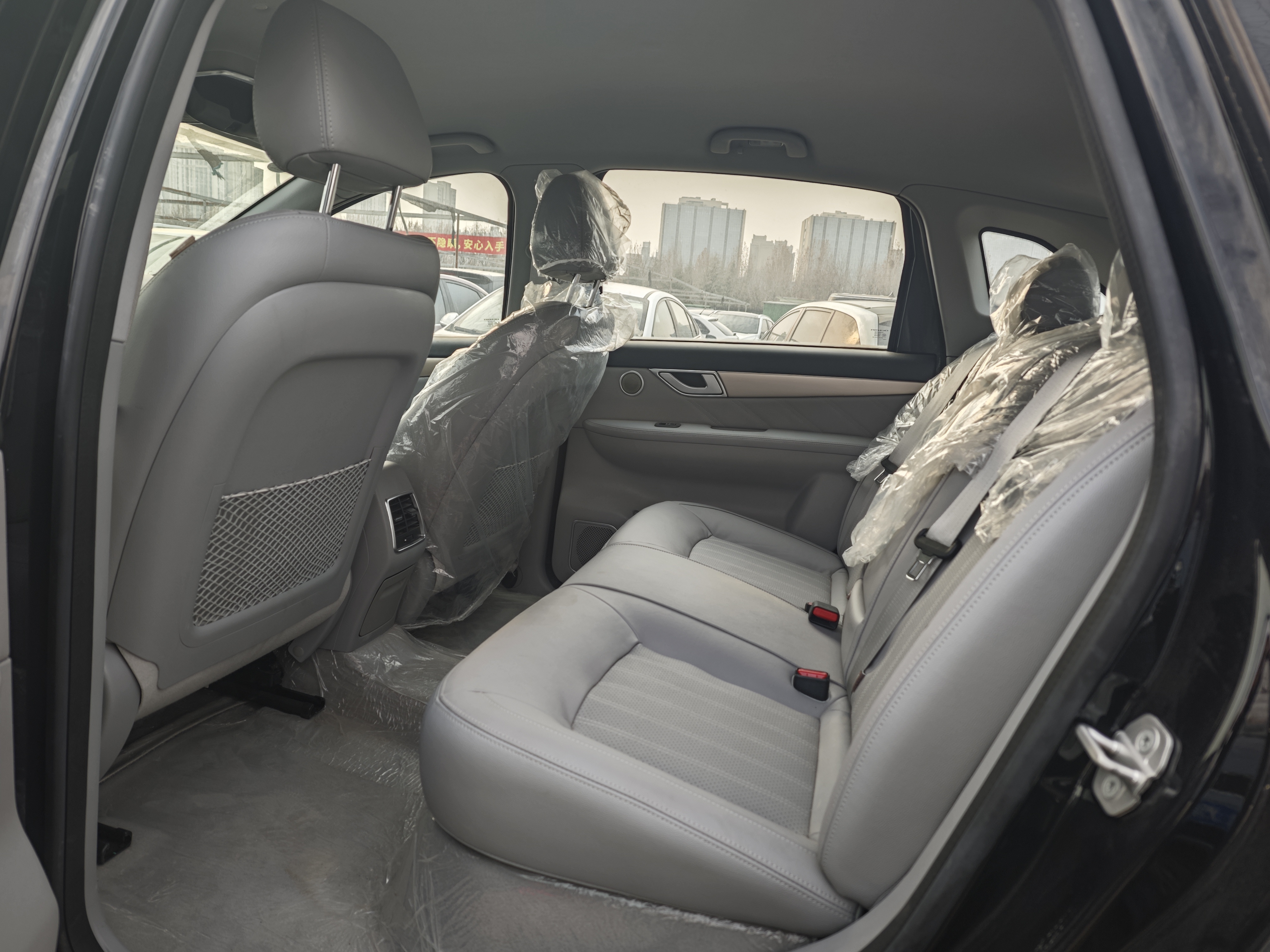 Denza 2019 car image #26