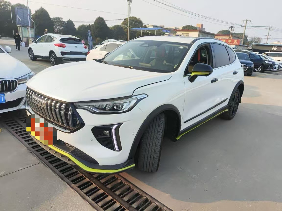 Haval Rabbit 2022 car image #26