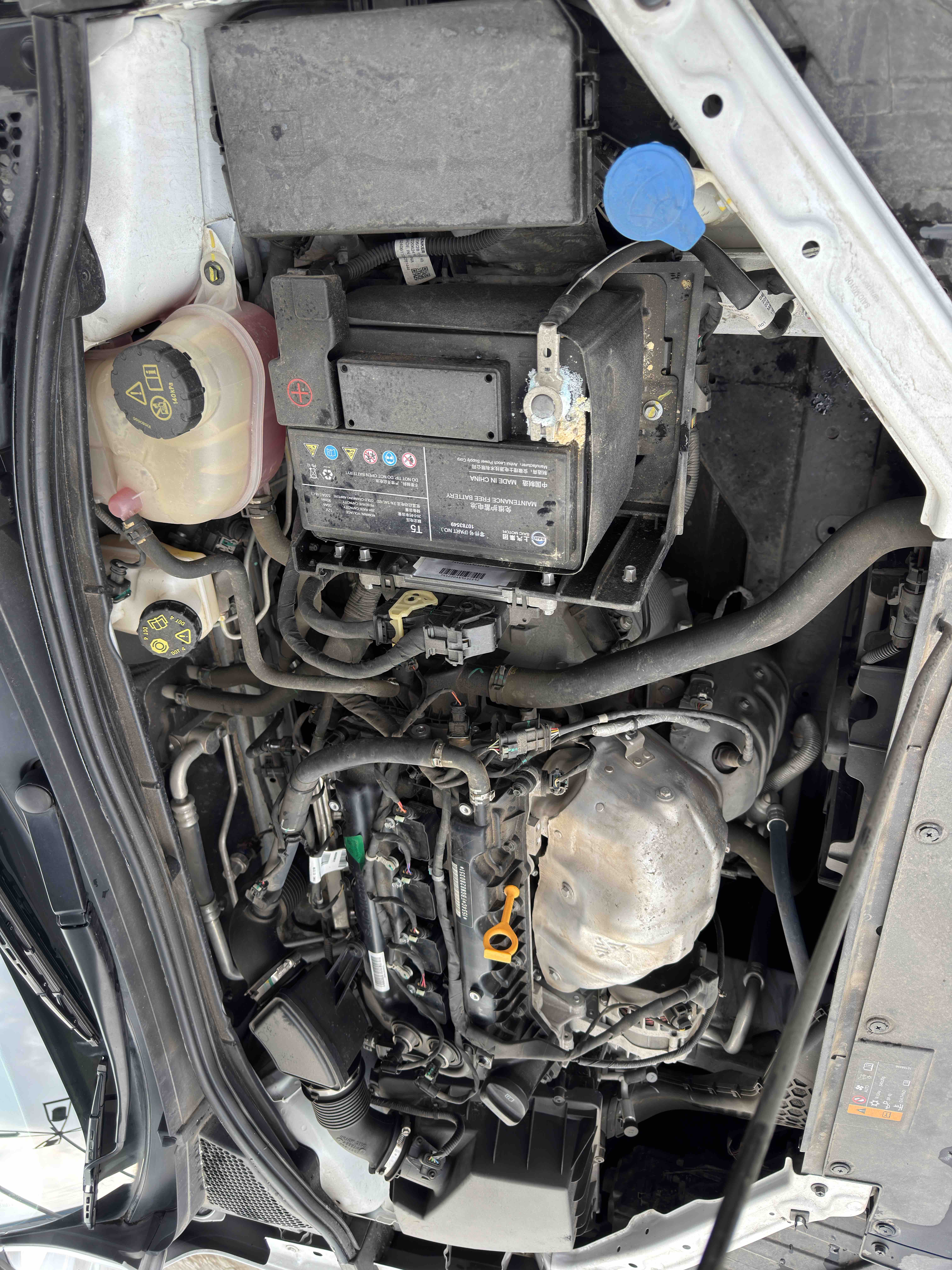 5 2022 car image #26