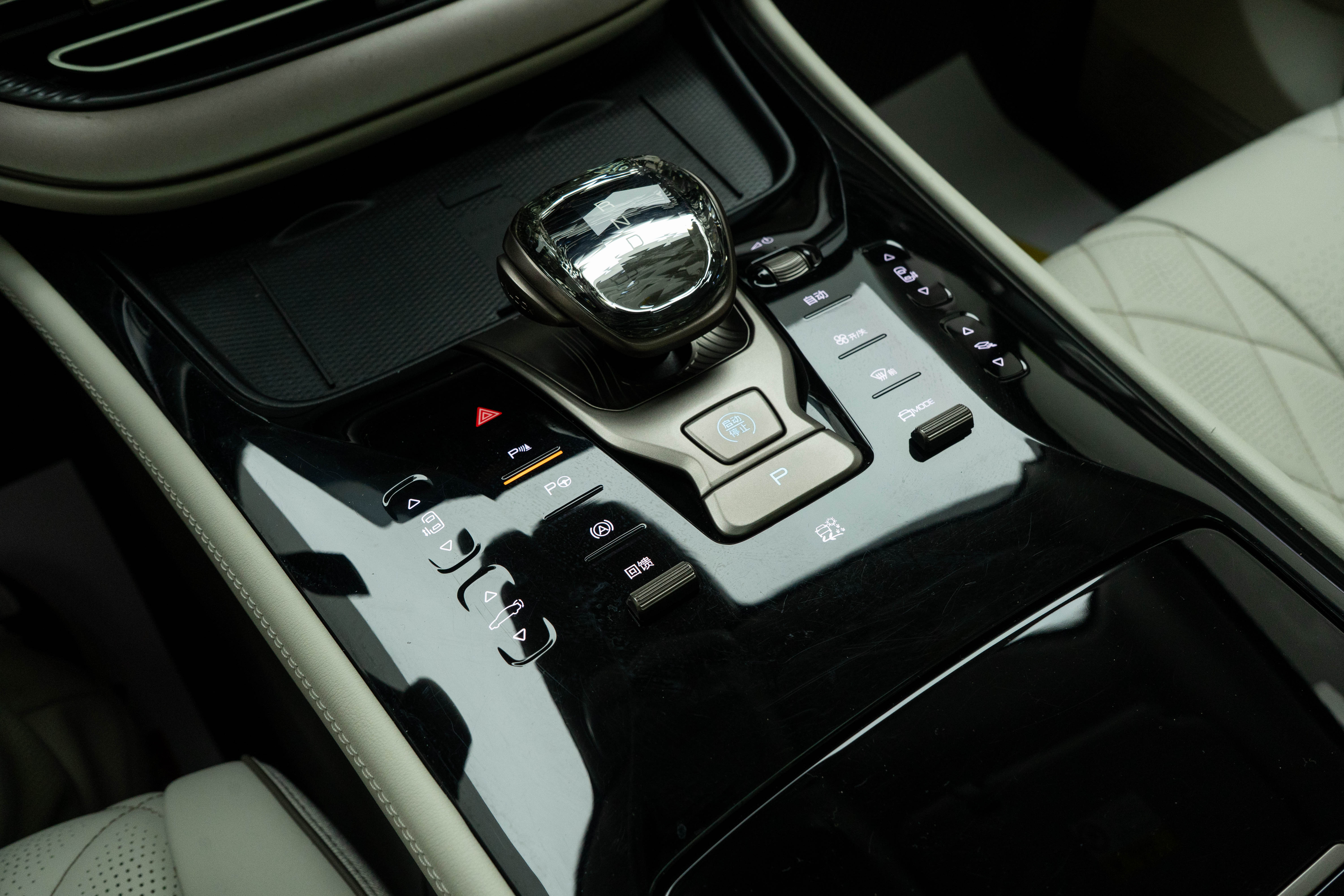 Denza D9 2023 immagine di auto #26