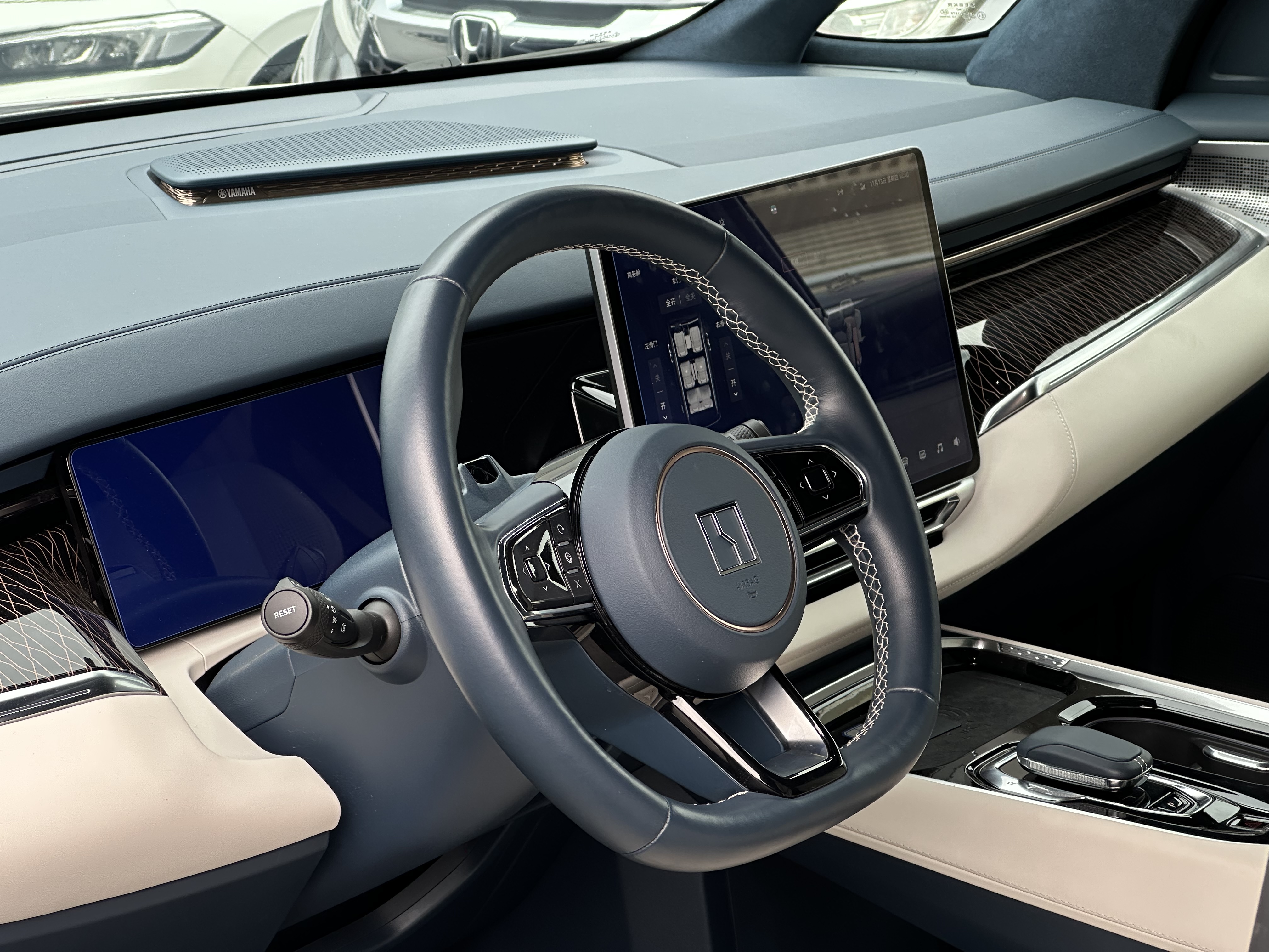 极氪 极氪009 2023 汽车图片 #26