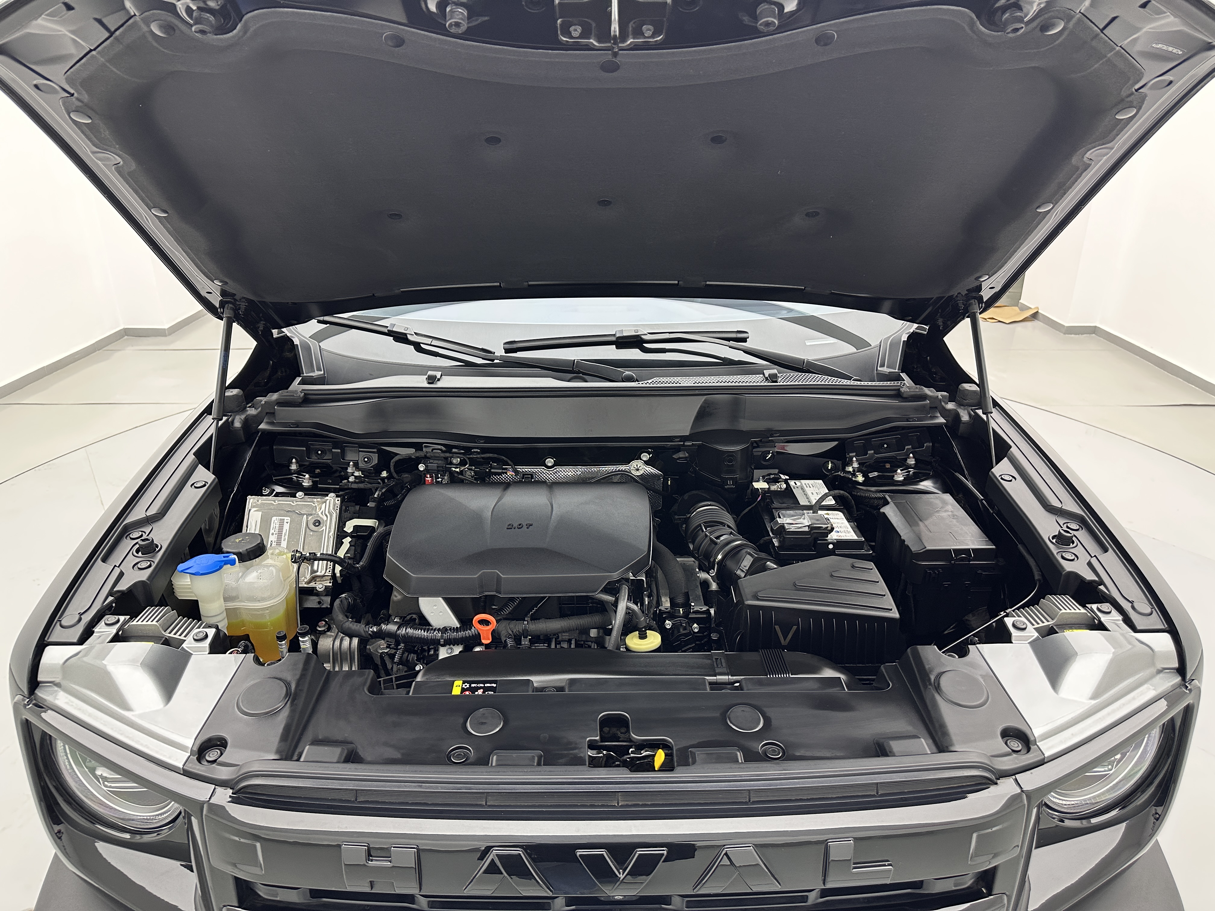 Haval X Dog / Dargo 2023 #26 Haval X Dog / Dargo 2023 immagine di auto #26