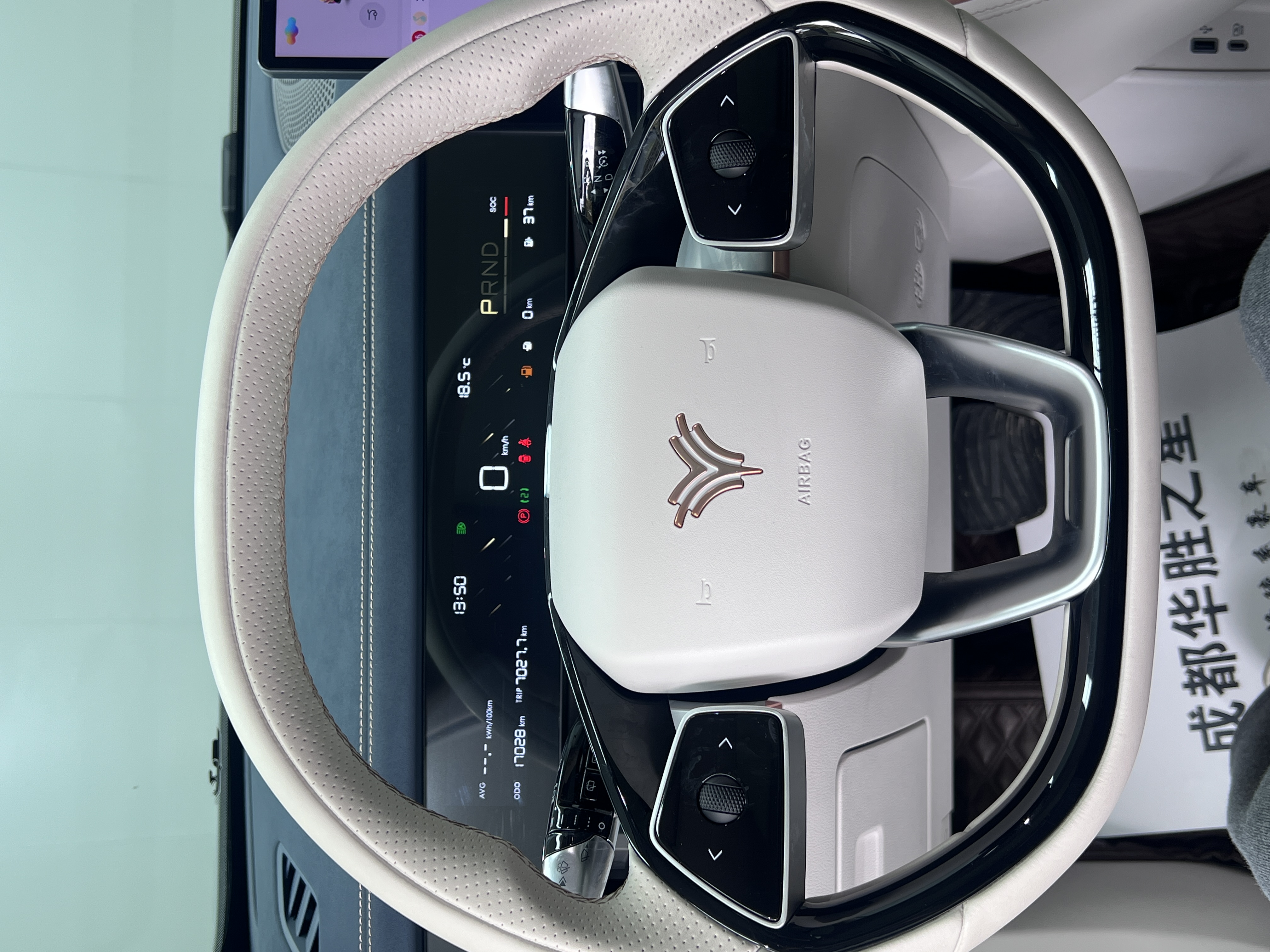 Neta L 2024 imagen de coche #26