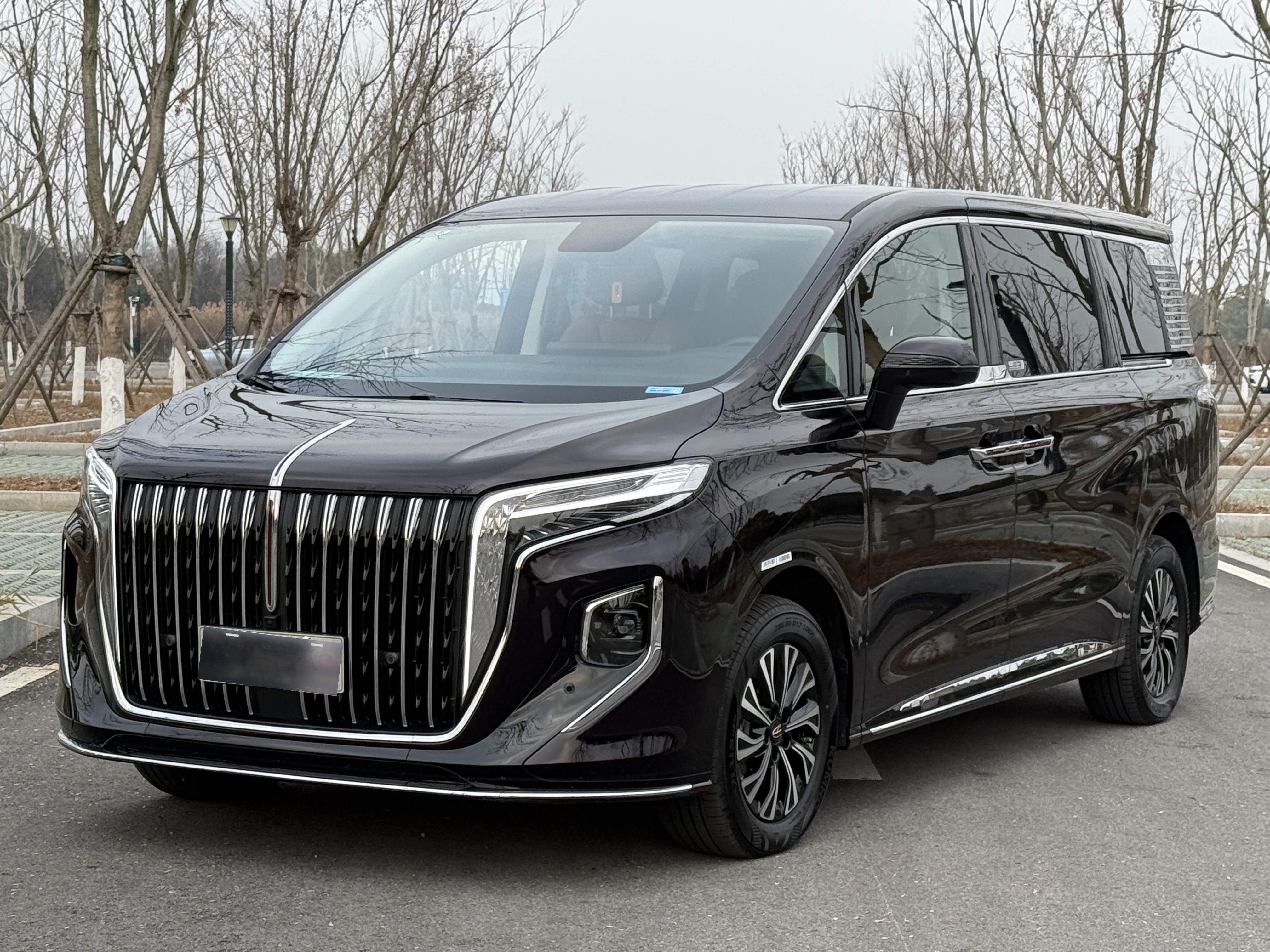 HongQi HQ9 PHEV 2024 #26 HongQi HQ9 PHEV 2024 car image #26