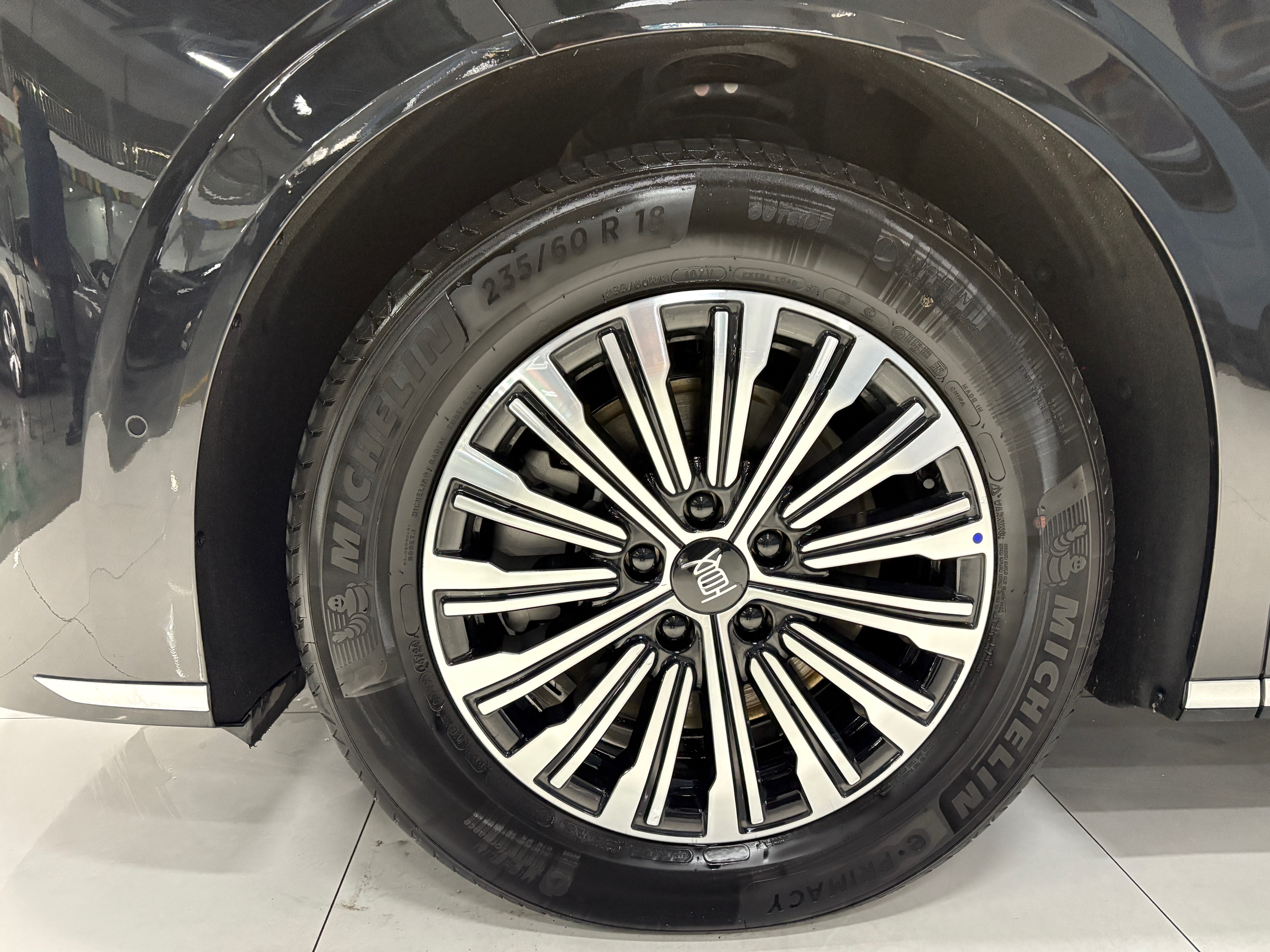 BYD Xia 2025 imagen de coche #26