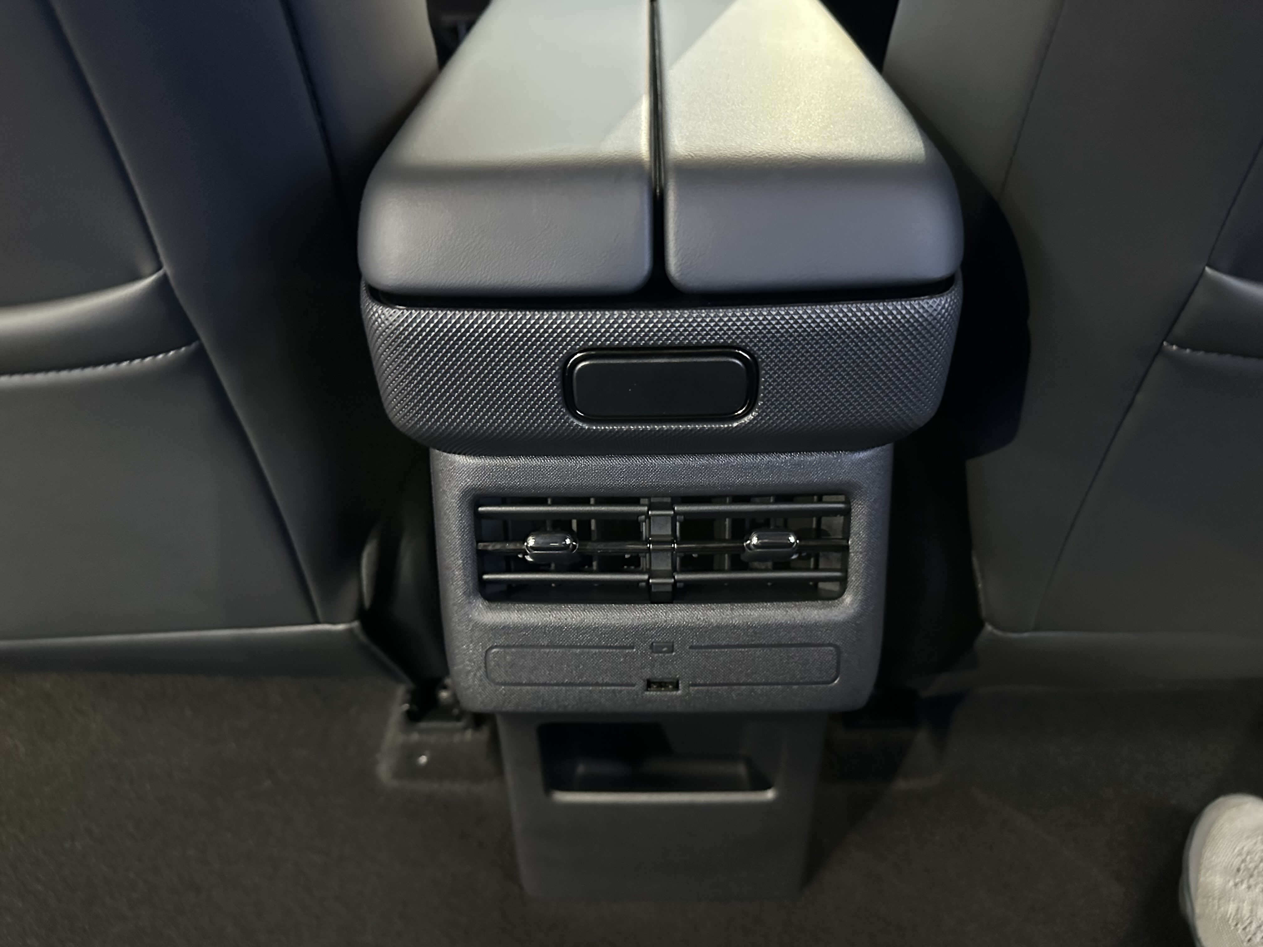 Toyota Bozhi 3X 2025 immagine di auto #26