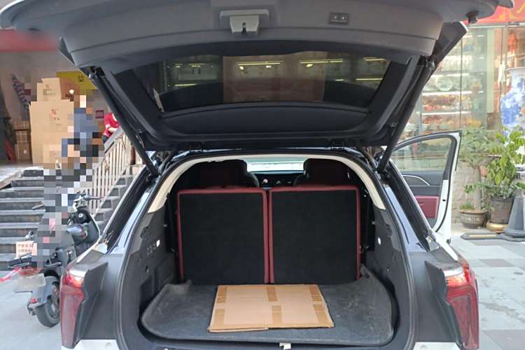 HongQi E-HS9 2023 car image #26