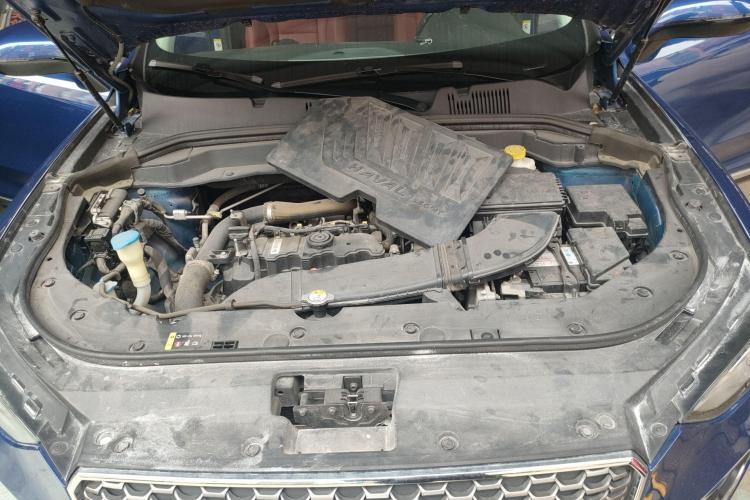 Haval F5 2019 #26 Haval F5 2019 car image #26