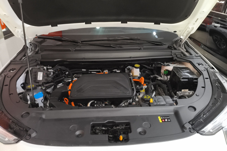 Haval Fierce Dragon 2024 #26 Haval Fierce Dragon 2024 car image #26