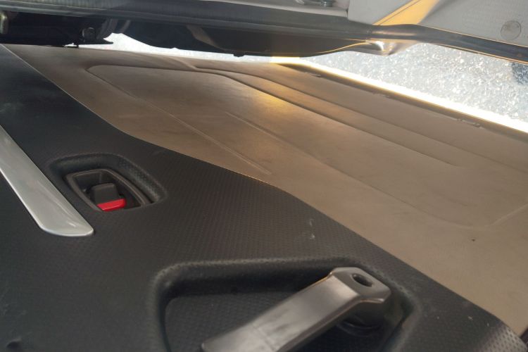 Forthing Lingzhi EV 2020 car image #26