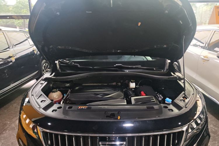 GEELY OkavangoR7 2021 car image #26