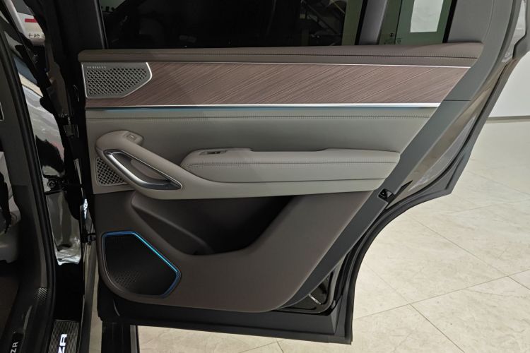 Denza N9 2025 imagem de carro #26