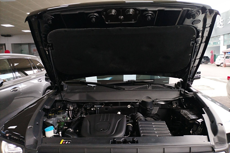 Haval Raptor 2024 car image #26