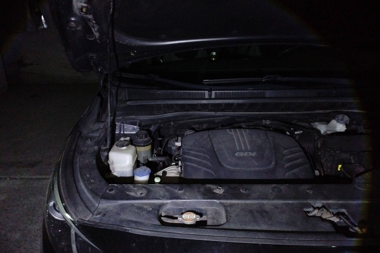 Kia Carnival (Imported) 2016 car image #26