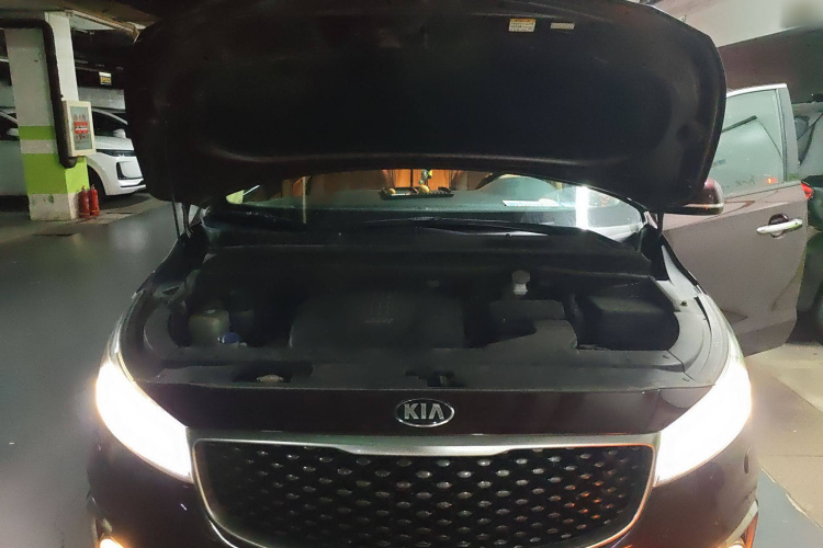 Kia Carnival (Imported) 2016 изображение автомобиля #26