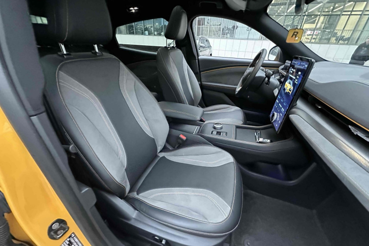 Ford Mustang Mach-E 2023 car image #26