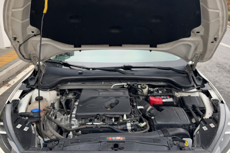 Ford Focus Active 2019 imagem de carro #26