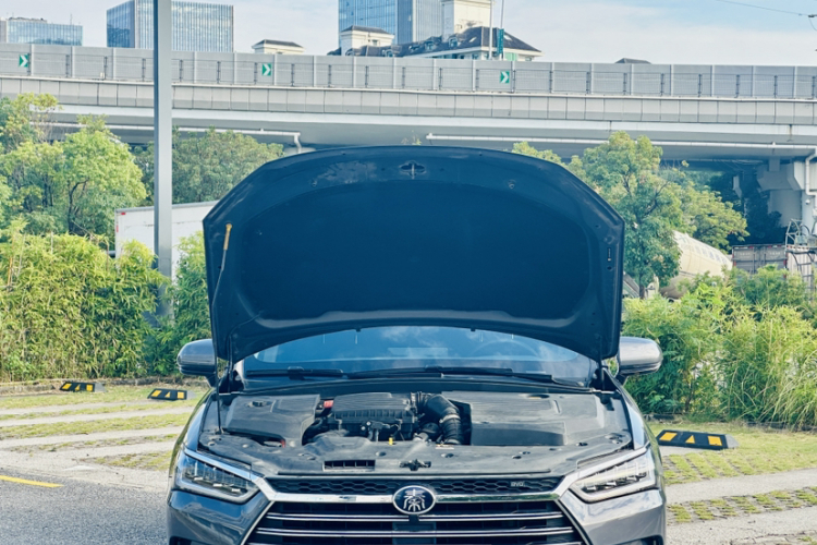 BYD Qin Pro 2019 car image #26