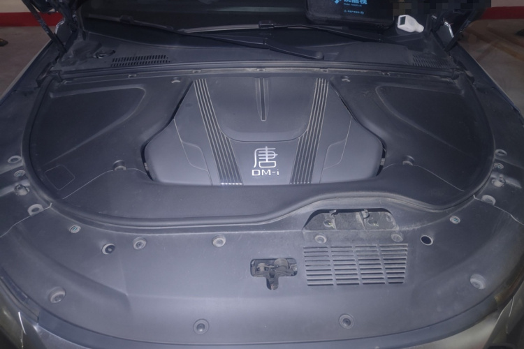 BYD Tang New Energy 2024 car image #26