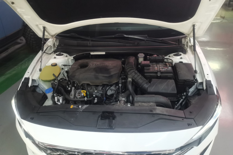 Hyundai Lafesta 2020 car image #26