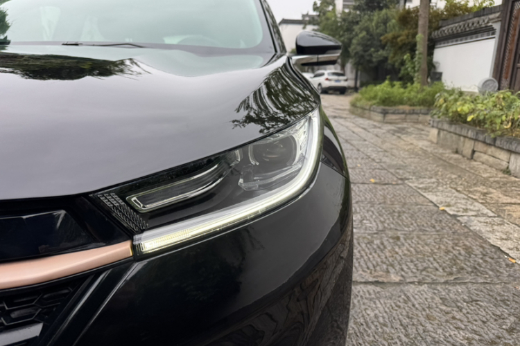 Exceed TX 2022 car image #26