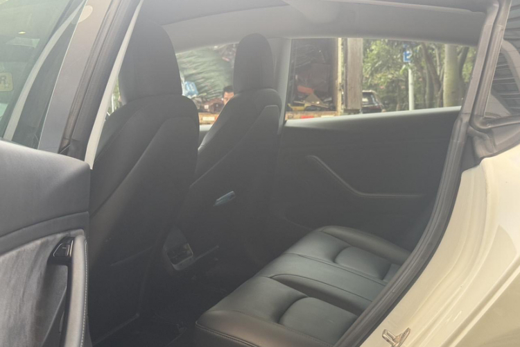 特斯拉 Model 3(进口) 2019 汽车图片 #26