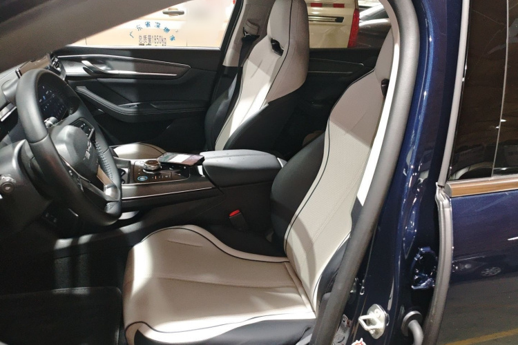 BYD Destroyer 05 2024 car image #26