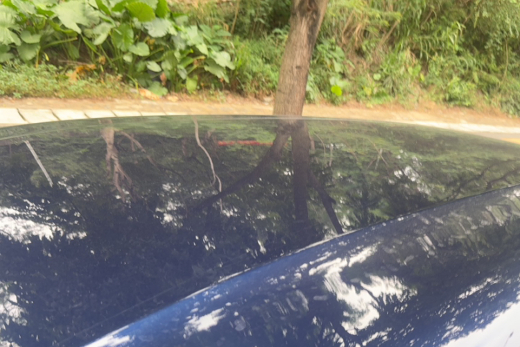 BYD Song MAX New Energy 2023 car image #26