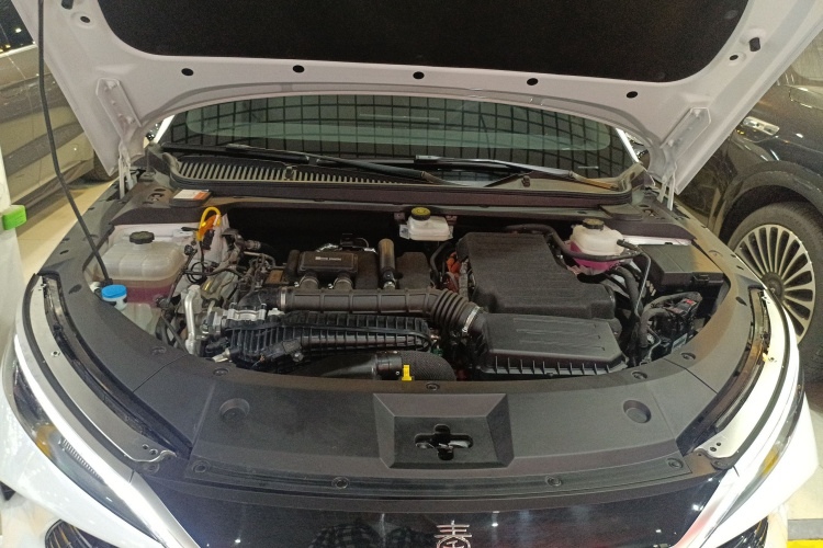 BYD Qin L 2024 #26 BYD Qin L 2024 car image #26