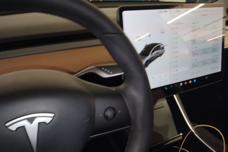 Tesla Model 3 2020 immagine di auto #26