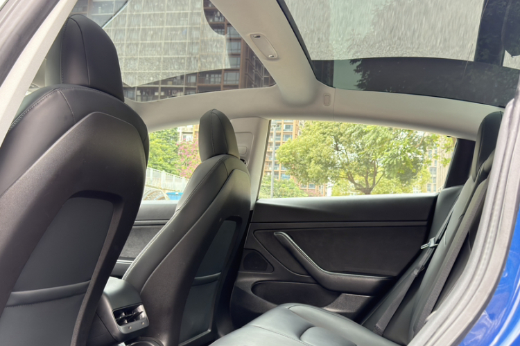 Tesla Model 3 2020 car image #26